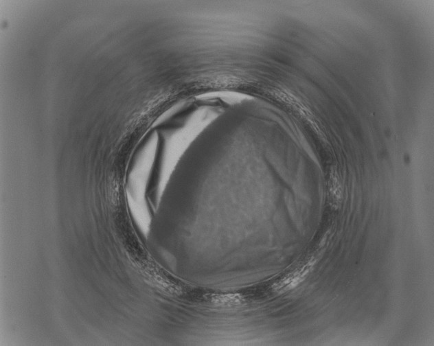 X0000073890355200609011659