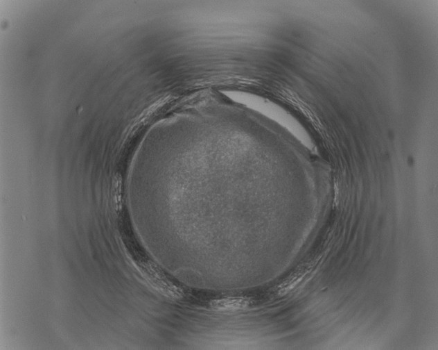 X0000073890356200609011659