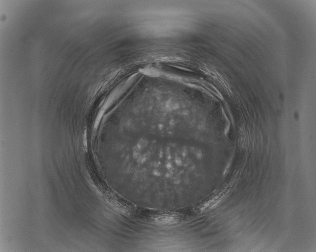 X0000073890358200609011659