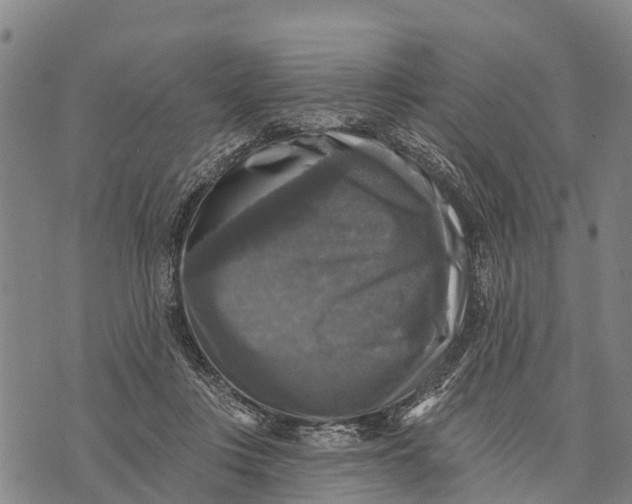 X0000073890359200609011659