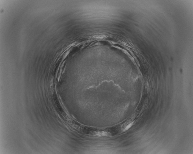 X0000073890360200609011659