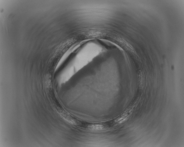 X0000073890361200609011659