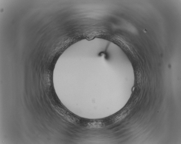 X0000073890362200609011659