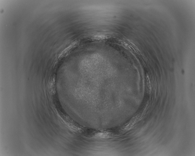 X0000073890364200609011659