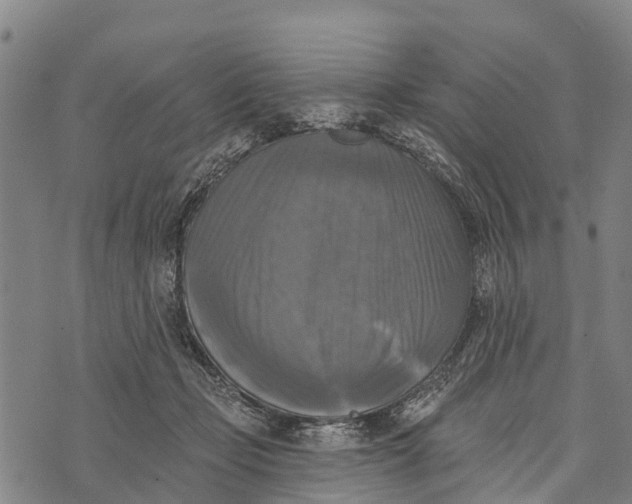 X0000073890365200609011659