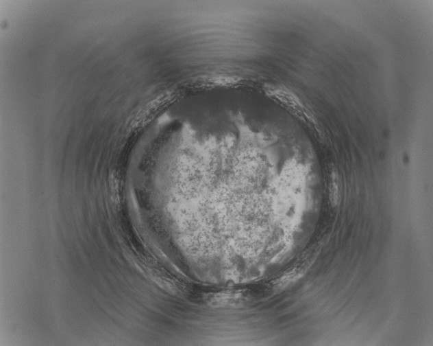 X0000073890366200609011659