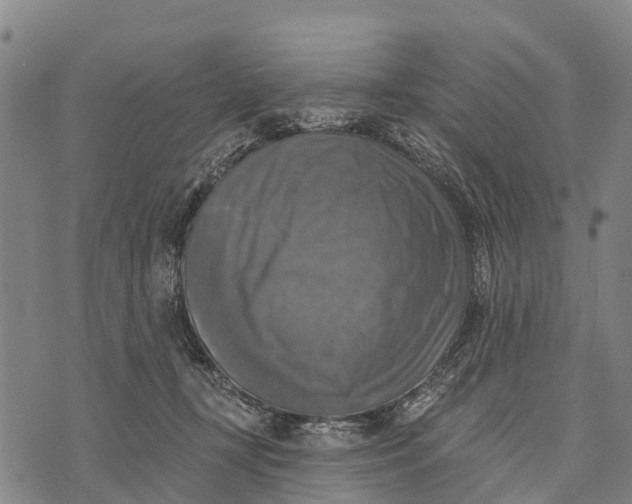 X0000073890367200609011659