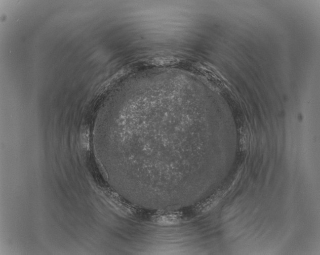 X0000073890368200609011659