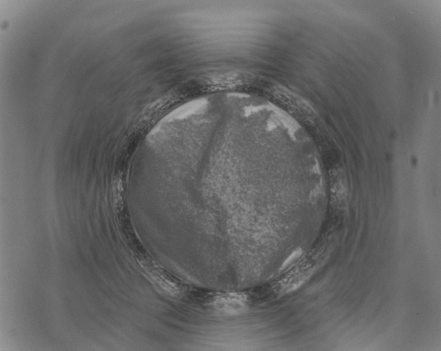 X0000073890369200609011659