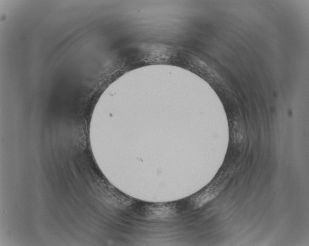 X0000073890370200609011659