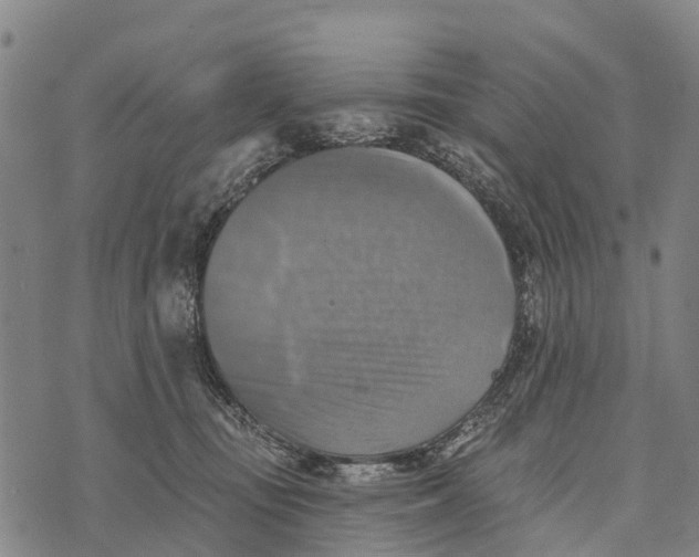 X0000073890371200609011659