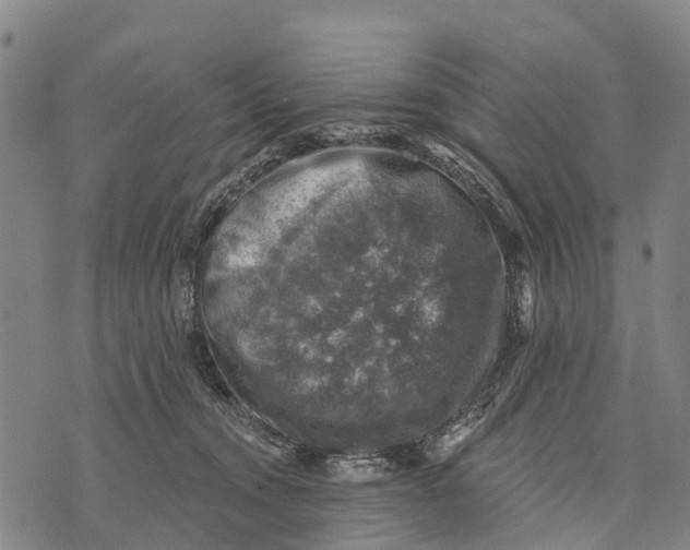 X0000073890372200609011659