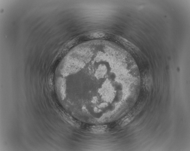 X0000073890373200609011659