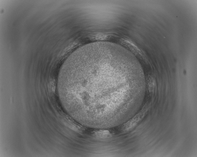 X0000073890374200609011659