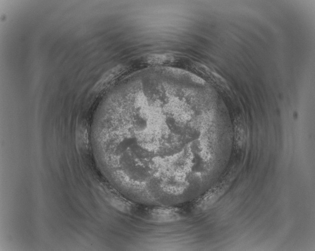 X0000073890375200609011659