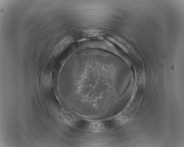 X0000073890376200609011659