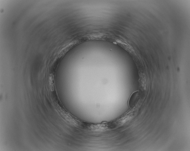 X0000073890378200609011659