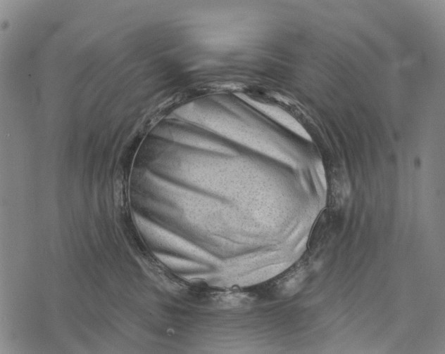 X0000073890379200609011659