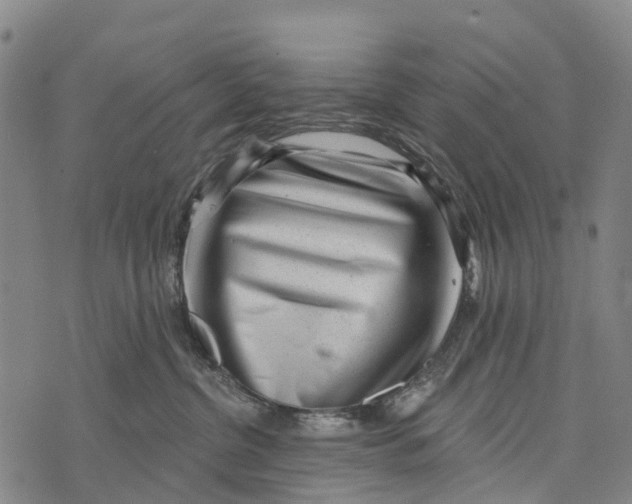 X0000073890380200609011659