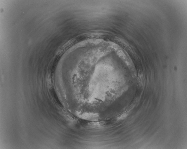 X0000073890381200609011659