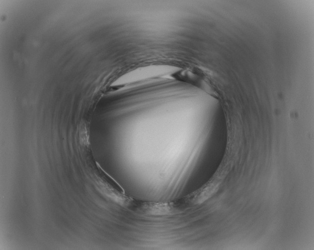 X0000073890384200609011659