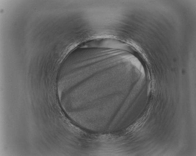 X0000073890385200609011658