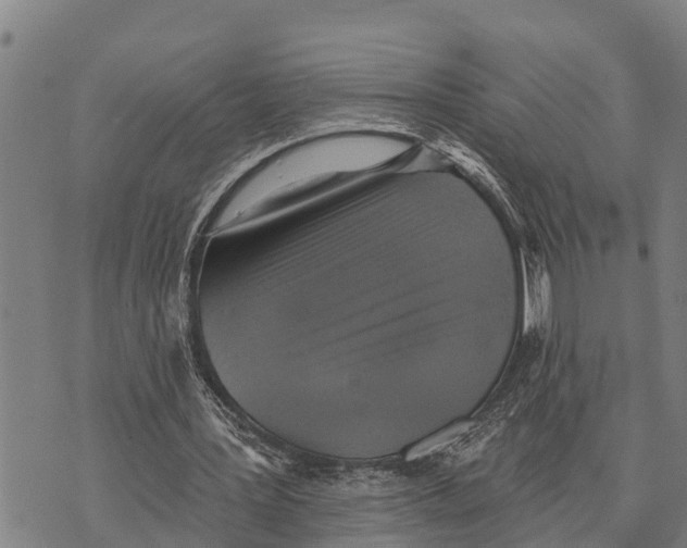 X0000073890387200609011658