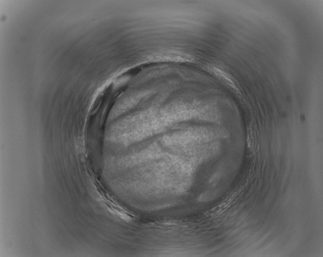 X0000073890388200609011658