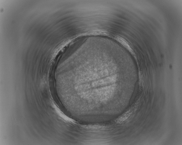 X0000073890389200609011658