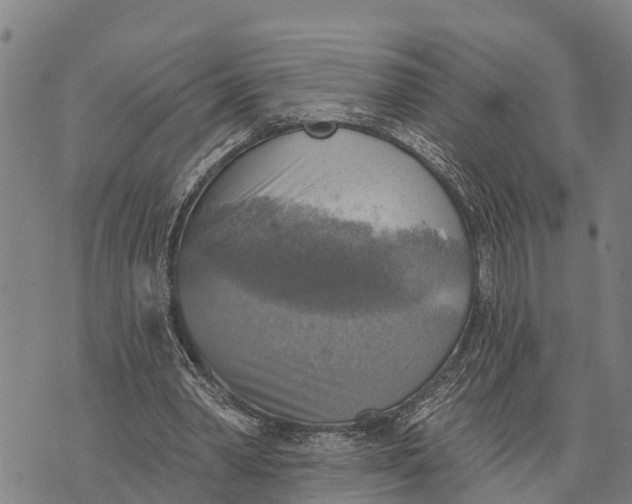 X0000073890390200609011658