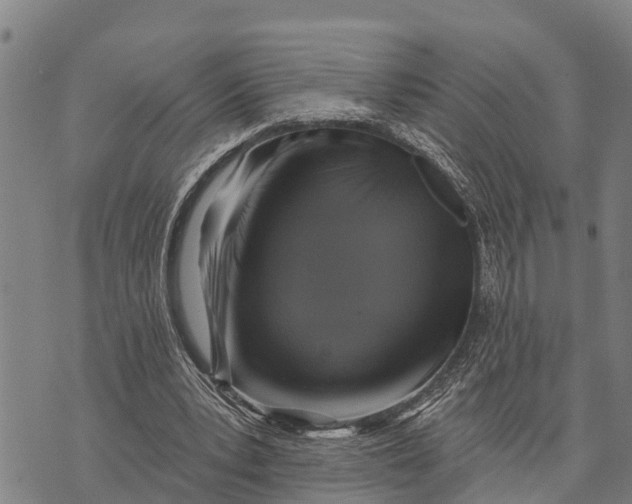 X0000073890391200609011658