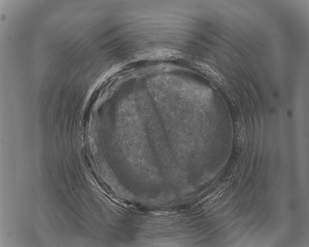 X0000073890392200609011658