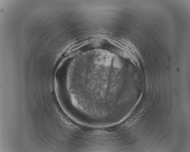 X0000073890393200609011658