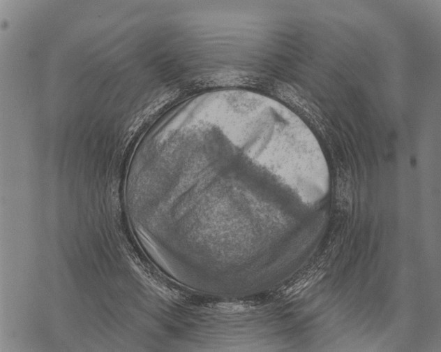 X0000073890394200609011658