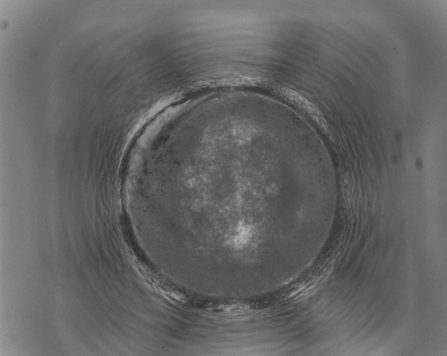 X0000073890395200609011658