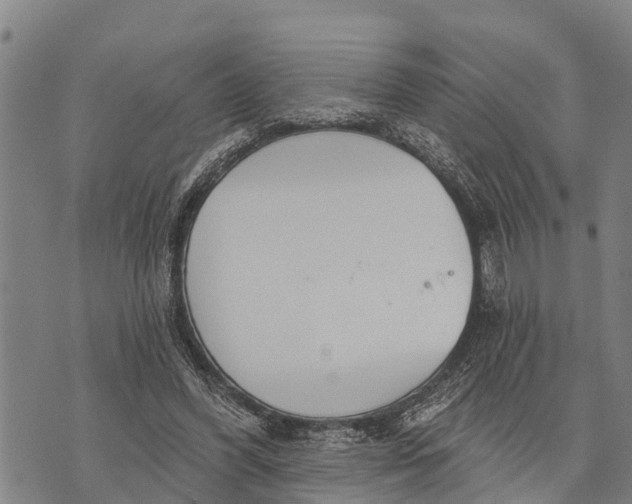 X0000073890396200609011658