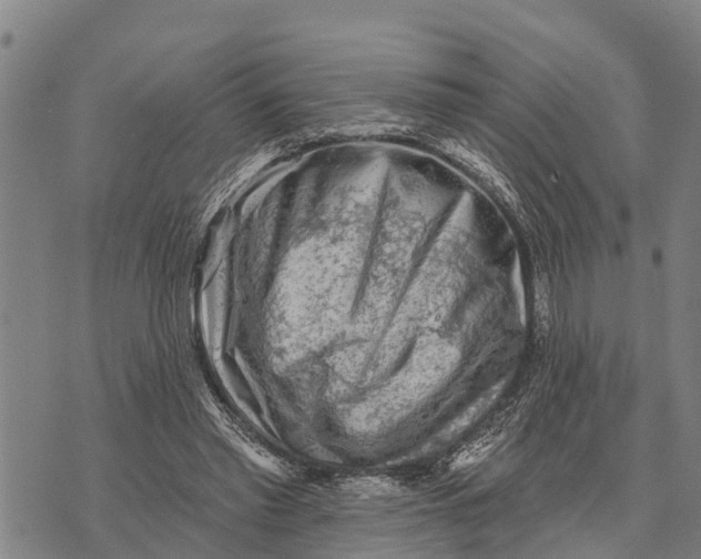 X0000073890397200609011658