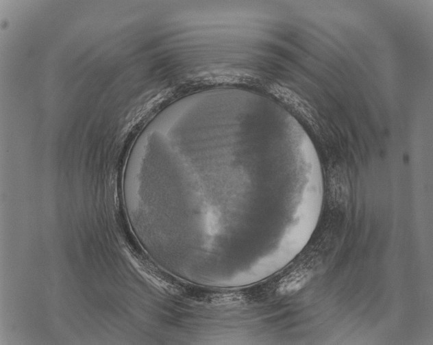 X0000073890398200609011658