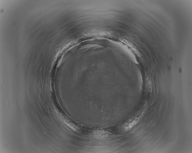 X0000073890399200609011658