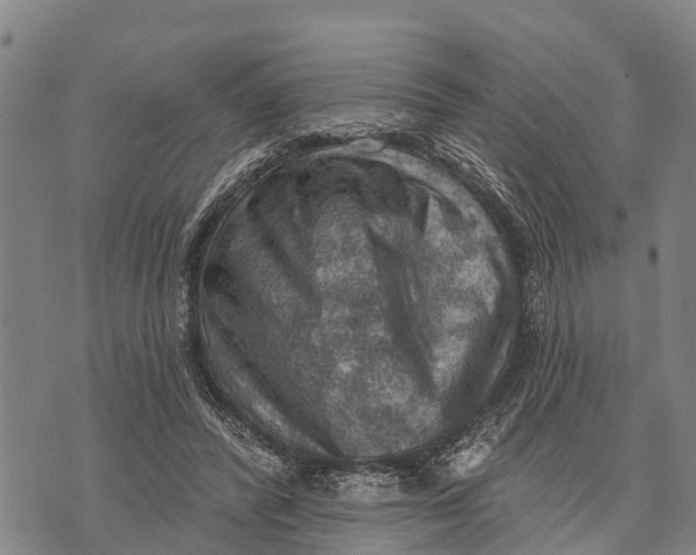 X0000073890400200609011658