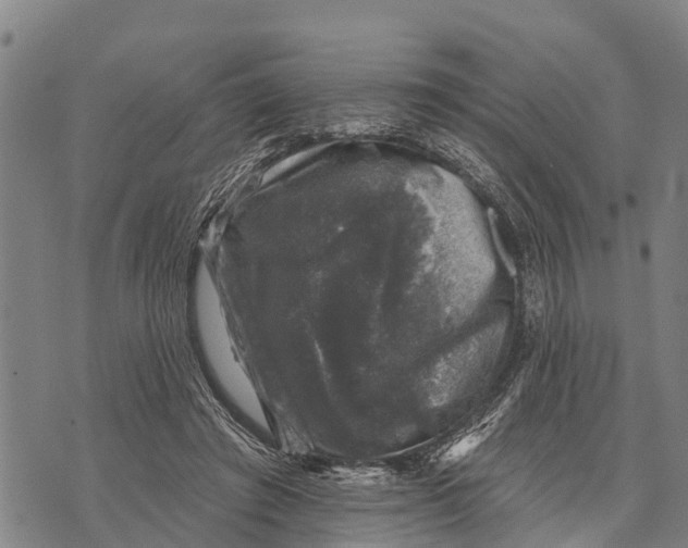 X0000073890401200609011658