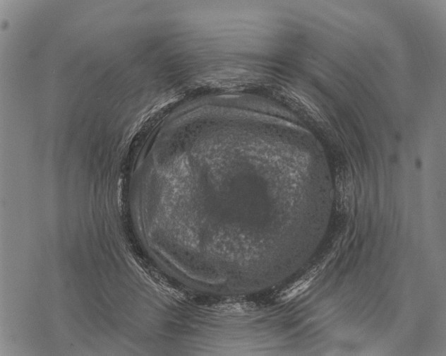 X0000073890404200609011658