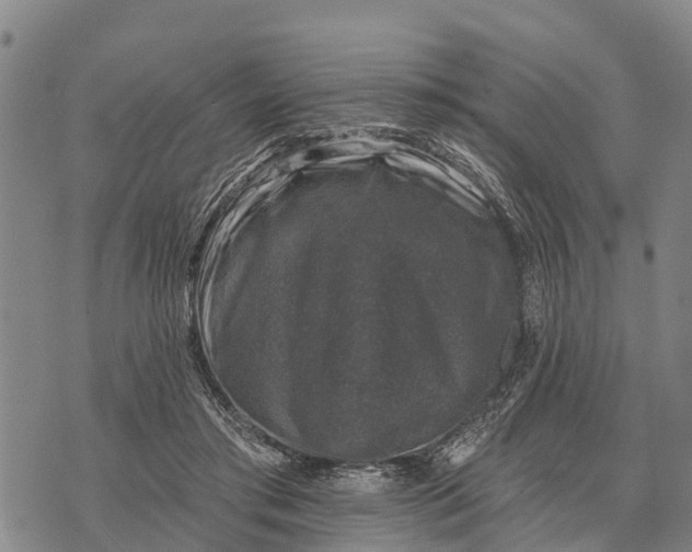 X0000073890405200609011658