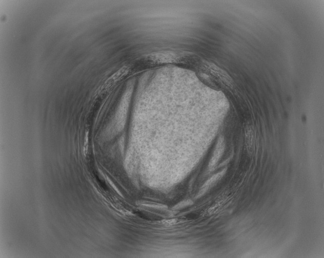 X0000073890406200609011658