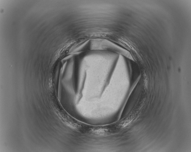 X0000073890407200609011658