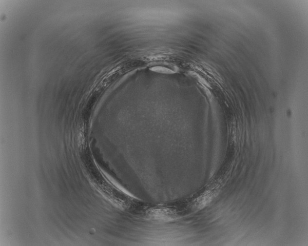 X0000073890408200609011658