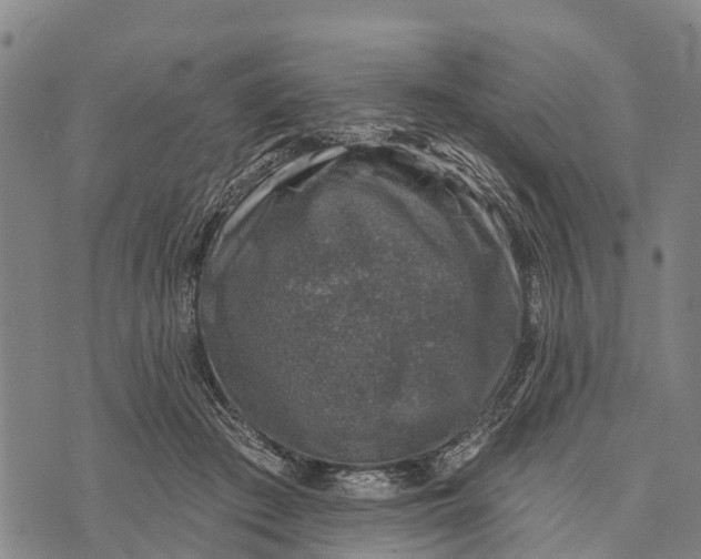 X0000073890409200609011658