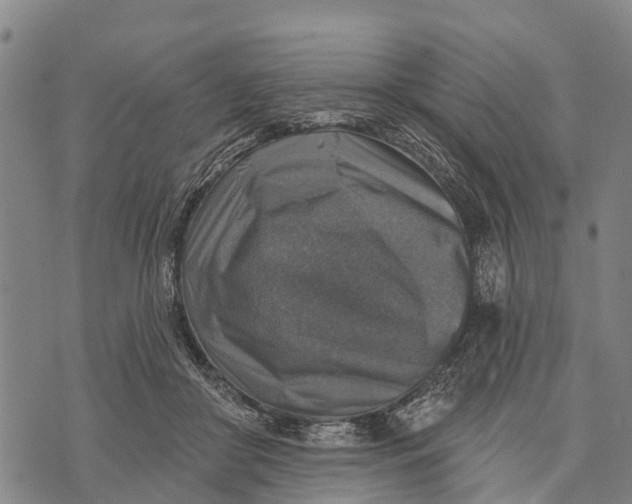 X0000073890410200609011658