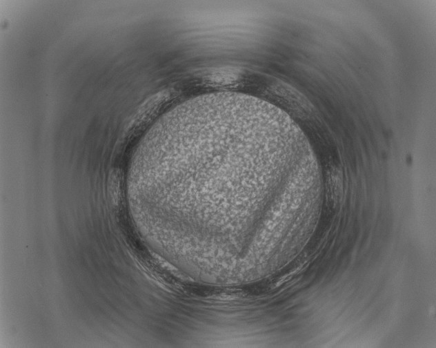 X0000073890412200609011658