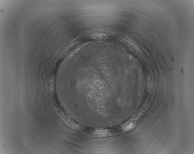 X0000073890413200609011658